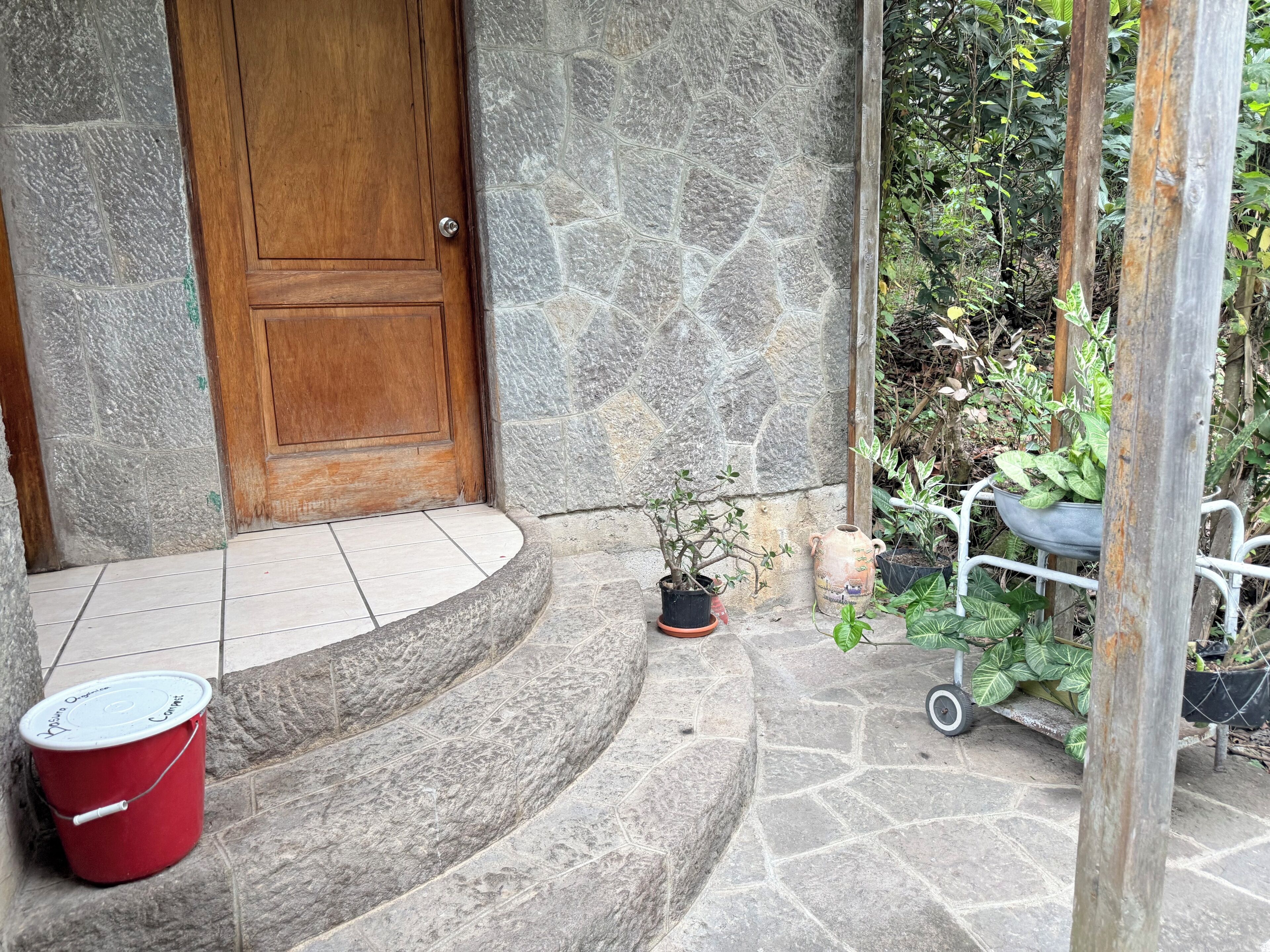 A stone staircase leading to a wooden door, a red bucket, and potted plants.