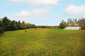 Un extenso campo abierto con una estructura de invernadero, rodeado de árboles y un cielo despejado.
