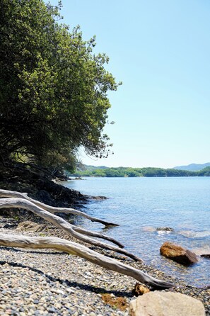 A pebbled beach with driftwood and a tree by the water. - Open special price / Shodoshima Island in the Seto Inland Sea / Shikai with a view of the beauty of many islands / Rental of a building / Grand piano / Tea ceremony room / Welcome drink / Pick-up service at ports and sightseeing spots on request / Free fe (小豆郡土庄町伊喜末)