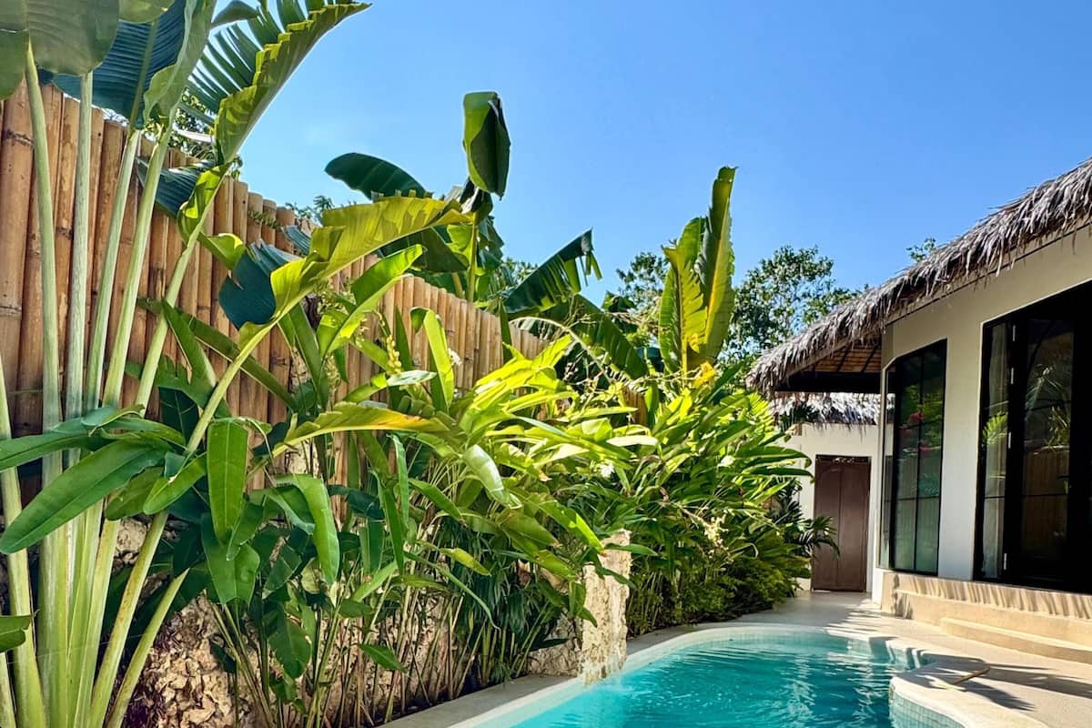 A swimming pool surrounded by lush greenery, a wooden fence, and a modern building with large windows.