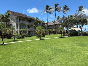 A hotel with a well-maintained lawn, multiple balconies, and palm trees. - Tropical ocean property centrally located among beautiful floral gardens; Aloha! (Kapaʻa)