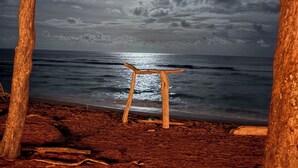 Une scène de plage avec un banc en bois, des arbres et une vue sur l’océan sous un ciel illuminé par la lune.
