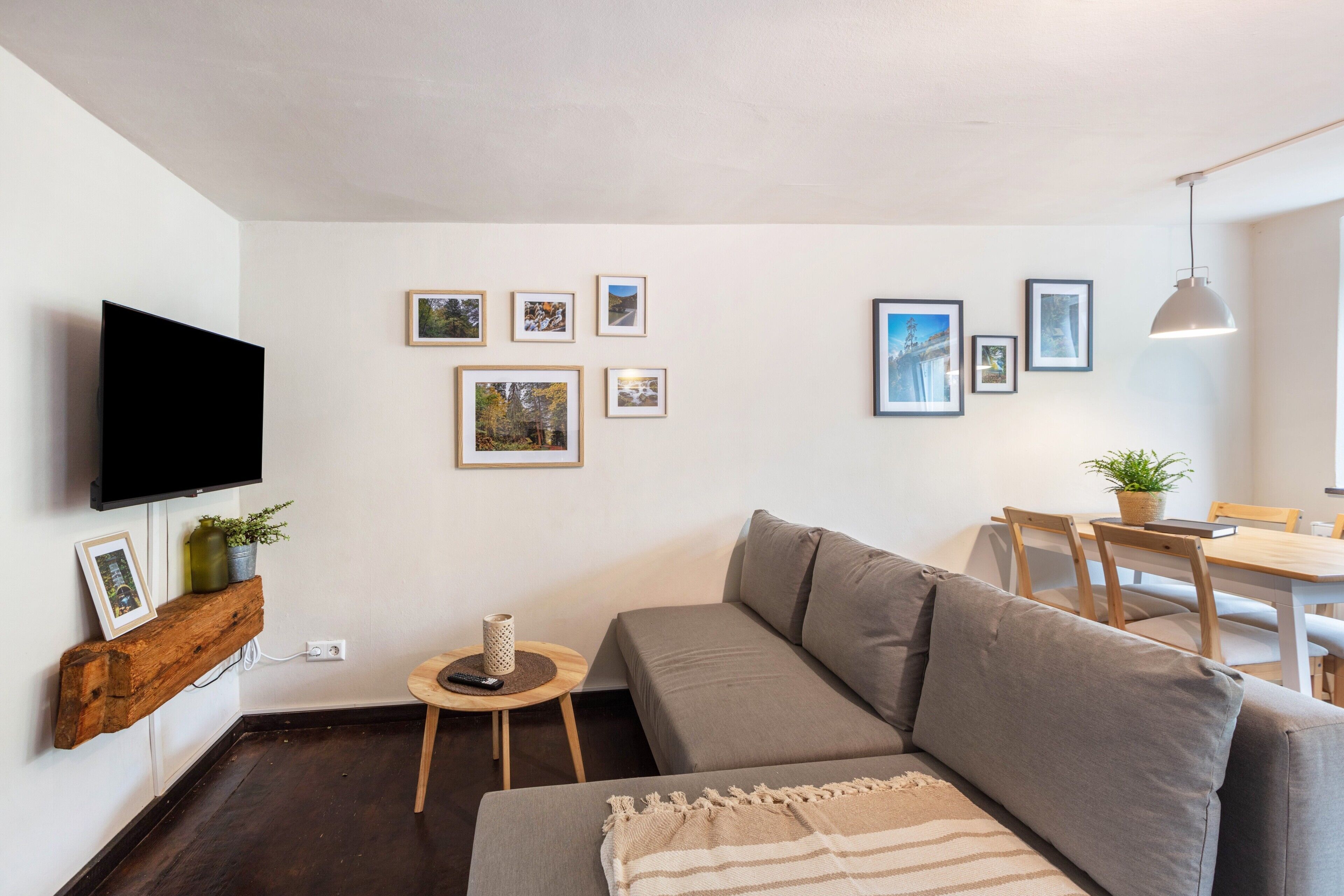 Fernseher