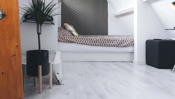 A modern loft bedroom with a sloped ceiling, a bed with patterned bedding, a potted plant, and a black speaker. - Cosy studio in Hoorn perfect for a relaxing getaway (Hoorn)