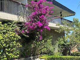 Un edificio con balcón, rodeado de abundante vegetación y plantas en flor.