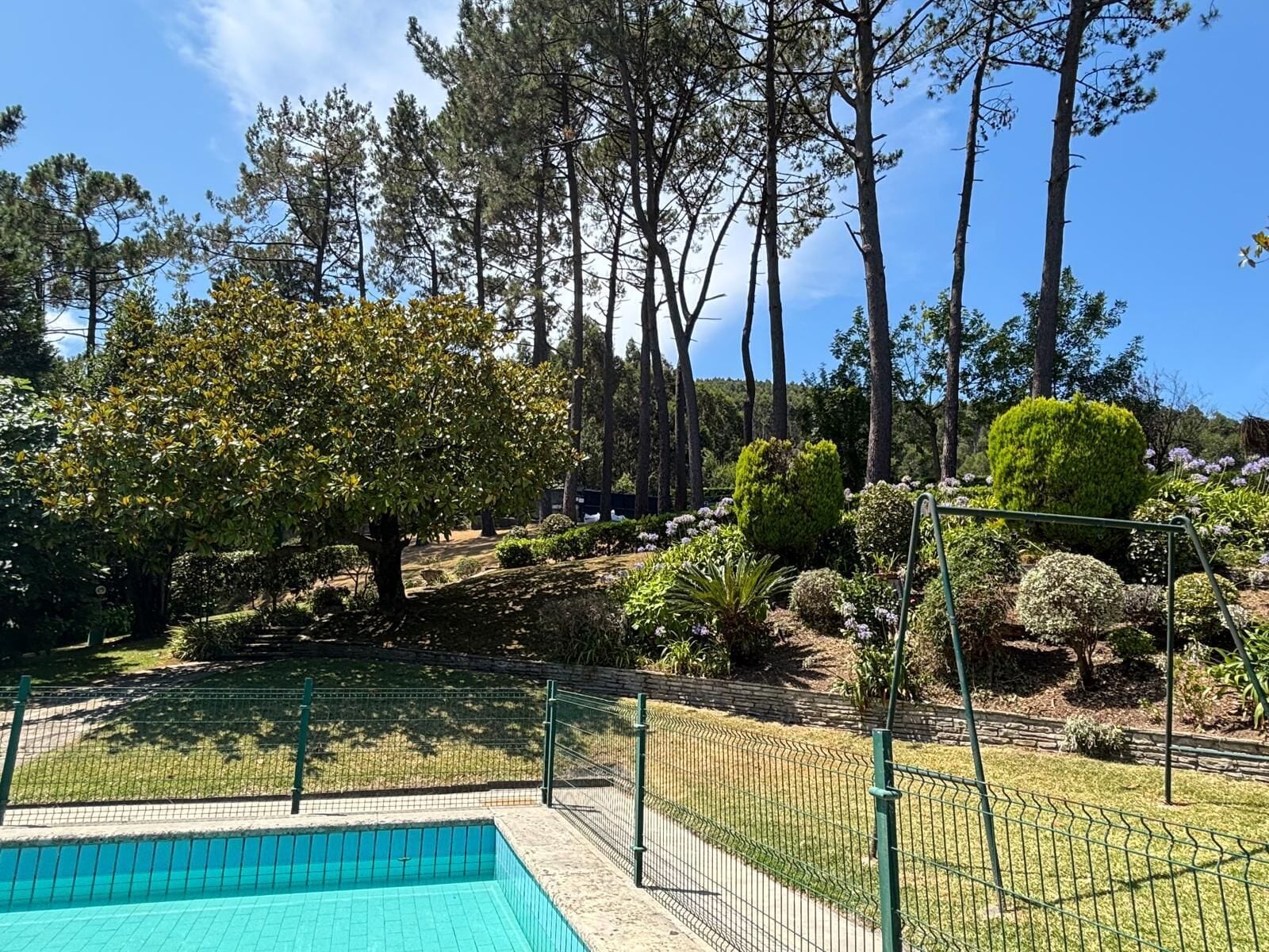 Une piscine entourée d’une clôture verte, elle-même bordée d’une variété d’arbres et d’arbustes.