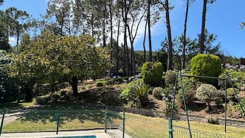 Une piscine entourée d’une clôture verte, elle-même bordée d’une variété d’arbres et d’arbustes.
