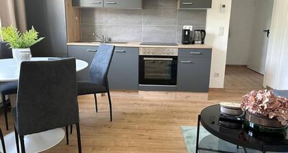 FarawayHomes Studio Leoben #P72