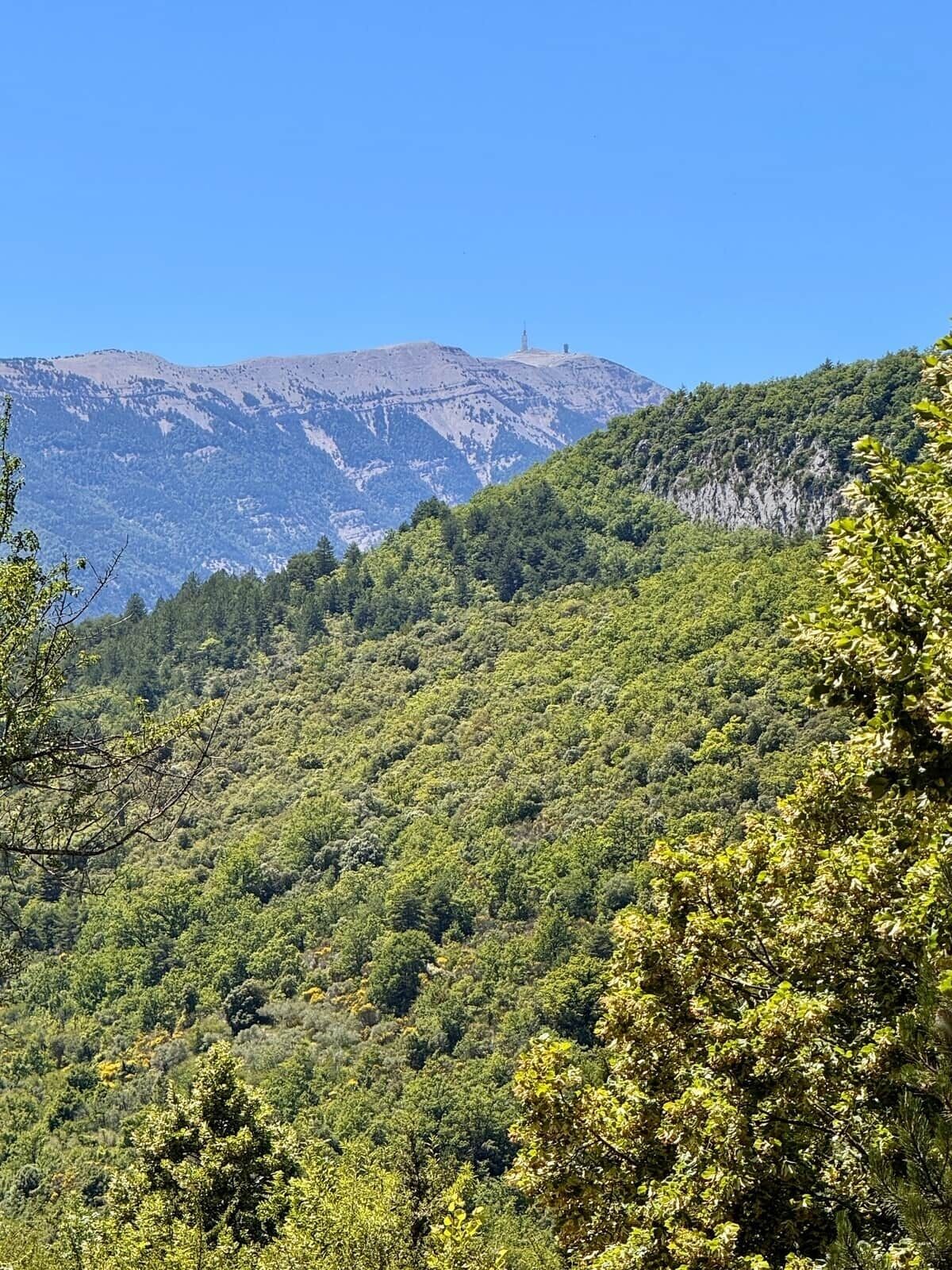 Un paysage montagneux avec une forêt dense et un ciel dégagé.