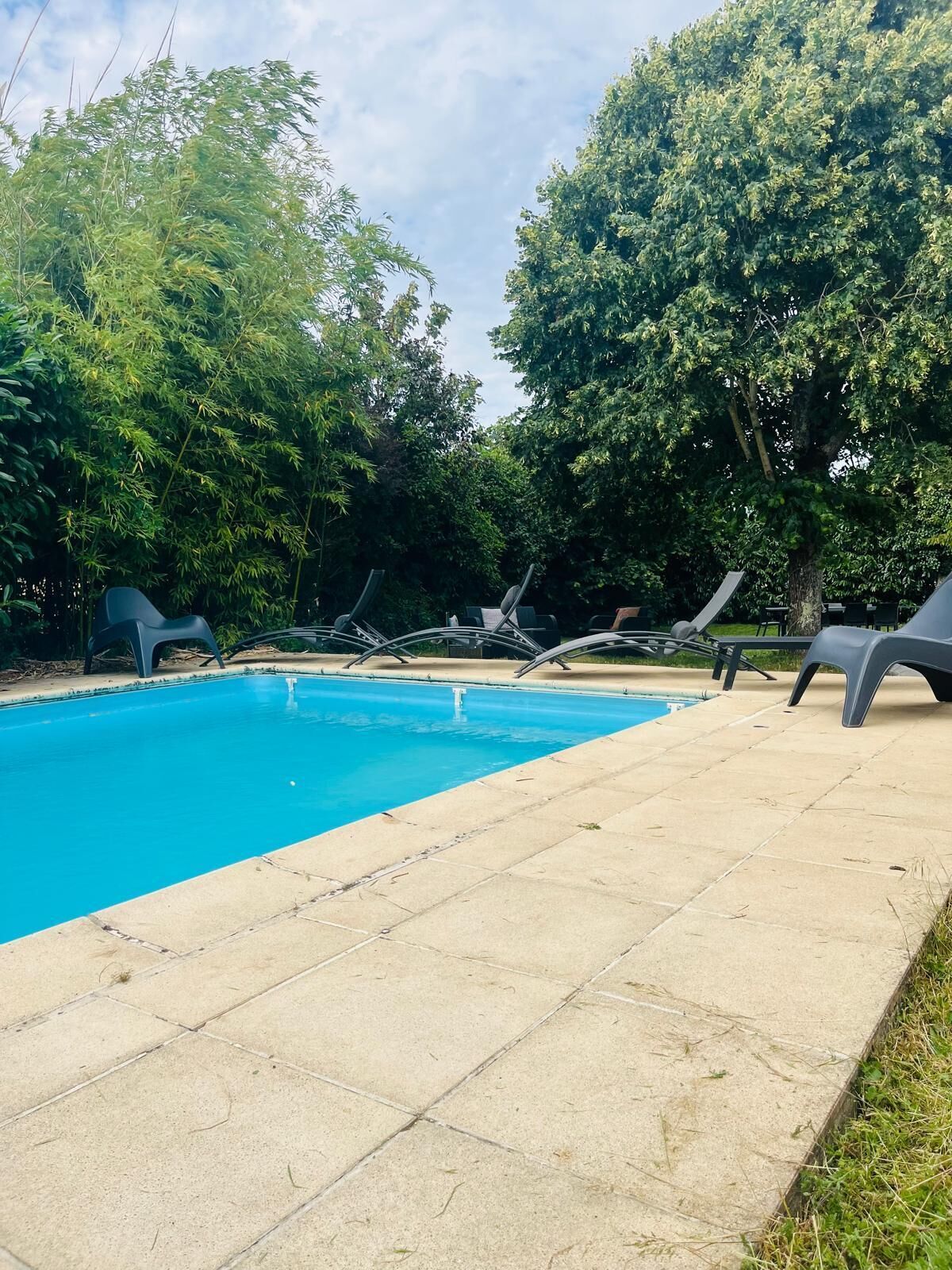 Ein Schwimmbecken mit Liegestühlen und Bäumen im Hintergrund.