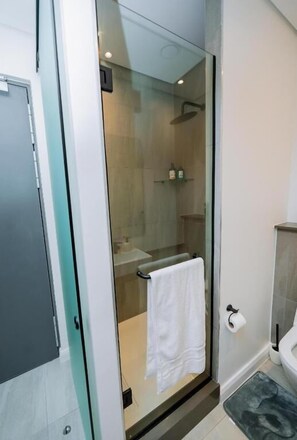 A modern bathroom with a glass shower enclosure, a white towel hanging on the door, and a visible toilet paper holder. - Trilogy studio apartment 831 (Pretoria)