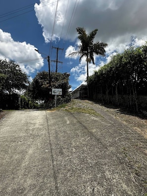 A paved road with a palm tree and a signpost in the distance. - Country House in Quindío – Casa Victoria (Calarcá)