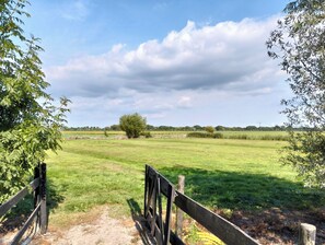Ländliche Landschaft mit Holzzaun, Feldweg und Wiesenfläche.