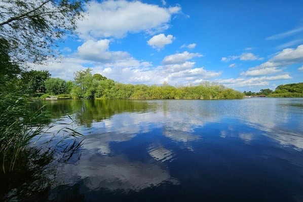 Um lago tranquilo com árvores refletidas na água, rodeado por vegetação.