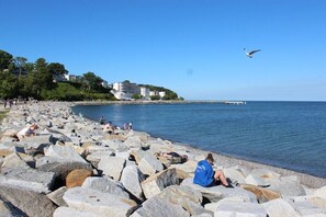 En stenstrand med människor, en mås och byggnader i bakgrunden.