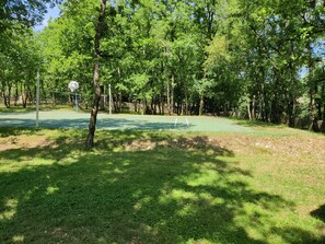 A park with a basketball court, surrounded by trees and grass.