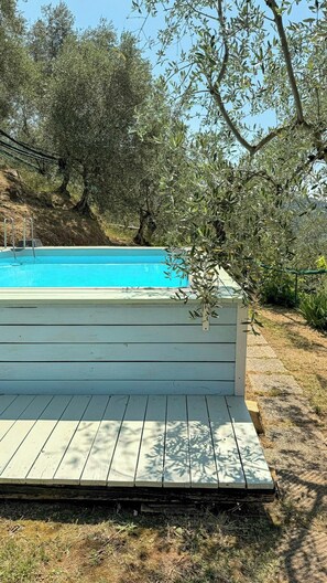 Una piscina amb una terrassa de fusta, envoltada d'oliveres i un cel serè.