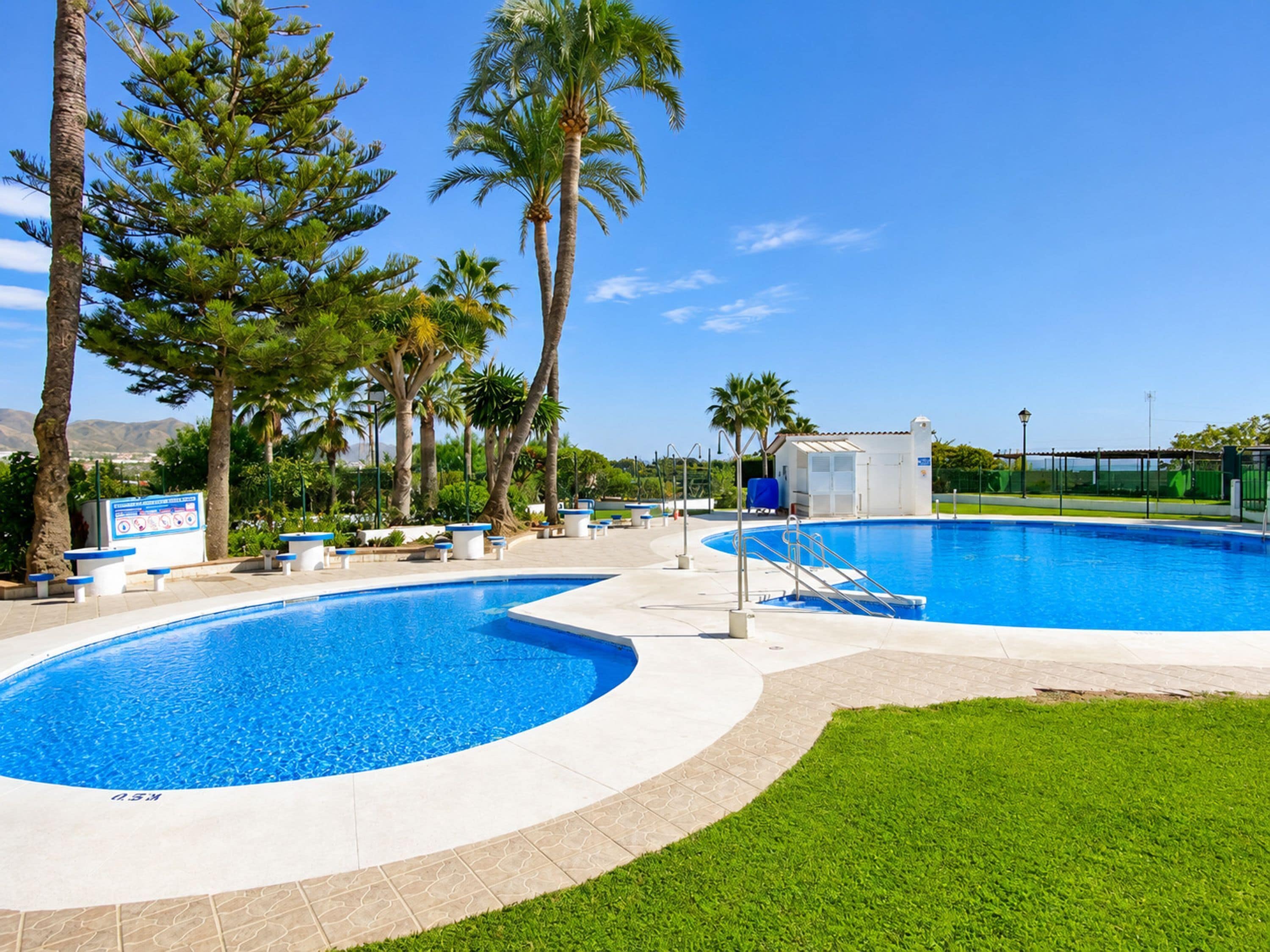 Ein Swimmingpool mit einer umlaufenden Liegefläche, Palmen und blauem Himmel.