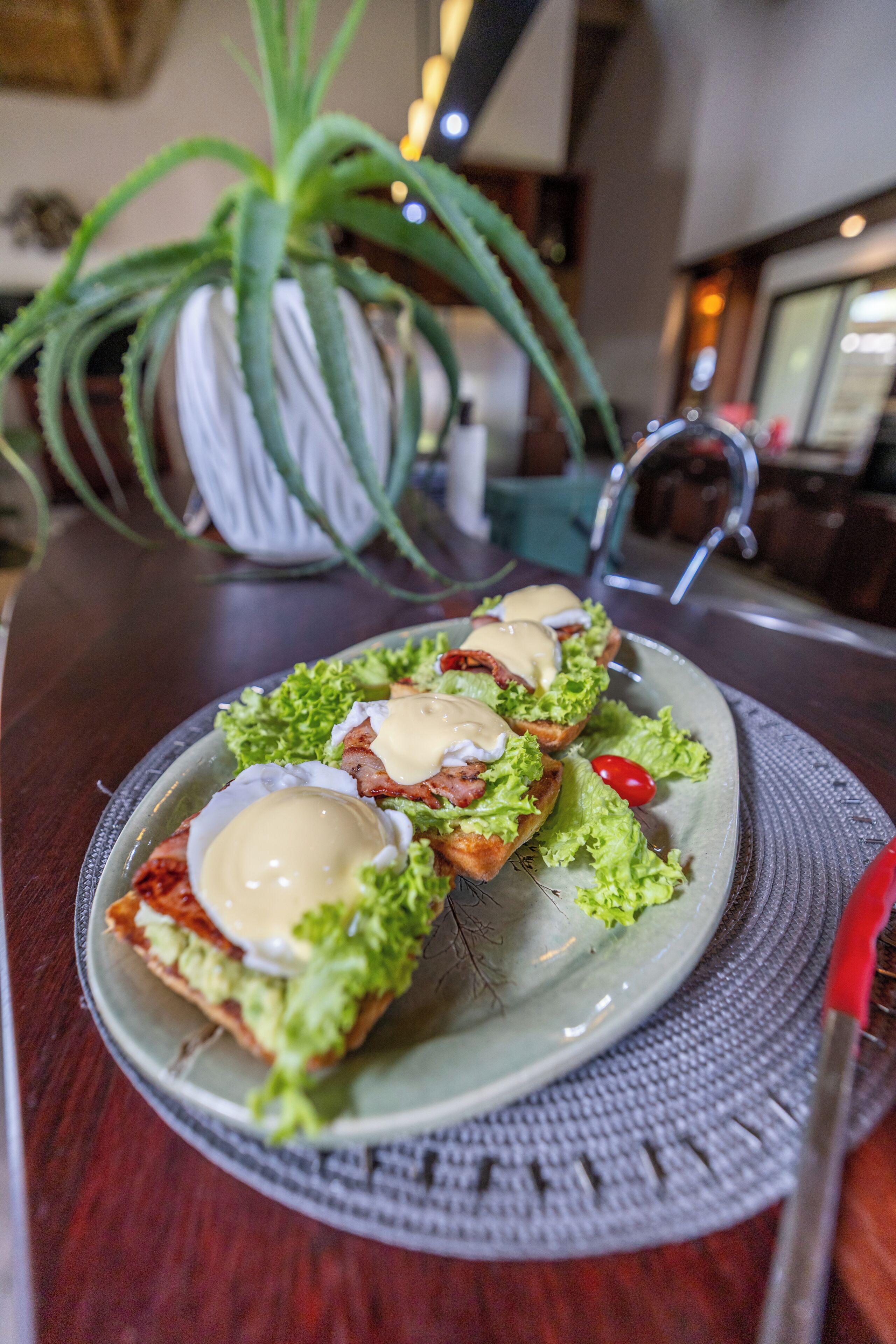 Une assiette de nourriture avec une plante verte en arrière-plan.