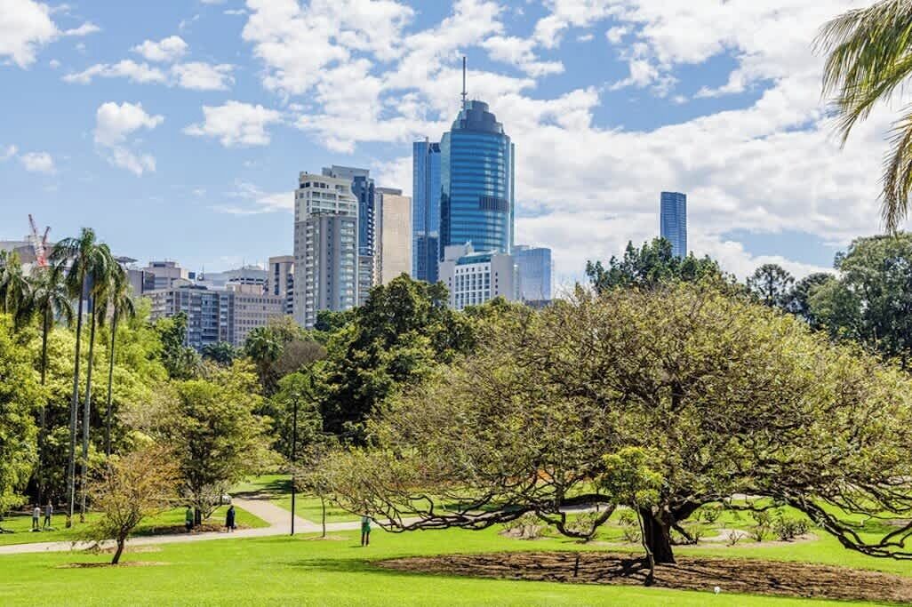 A park with a large tree and a city skyline in the background.