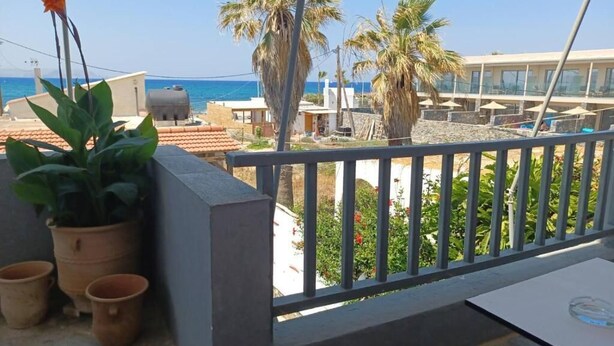 A balcony with a view of the sea, palm trees, and a building with a barbecue.