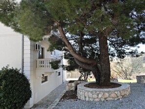 A tree in a stone planter, a white building with balconies, and a gravel pathway.