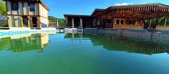 River side and near forest chalet in Brad/Ribita perfect for a relaxing getaway.
