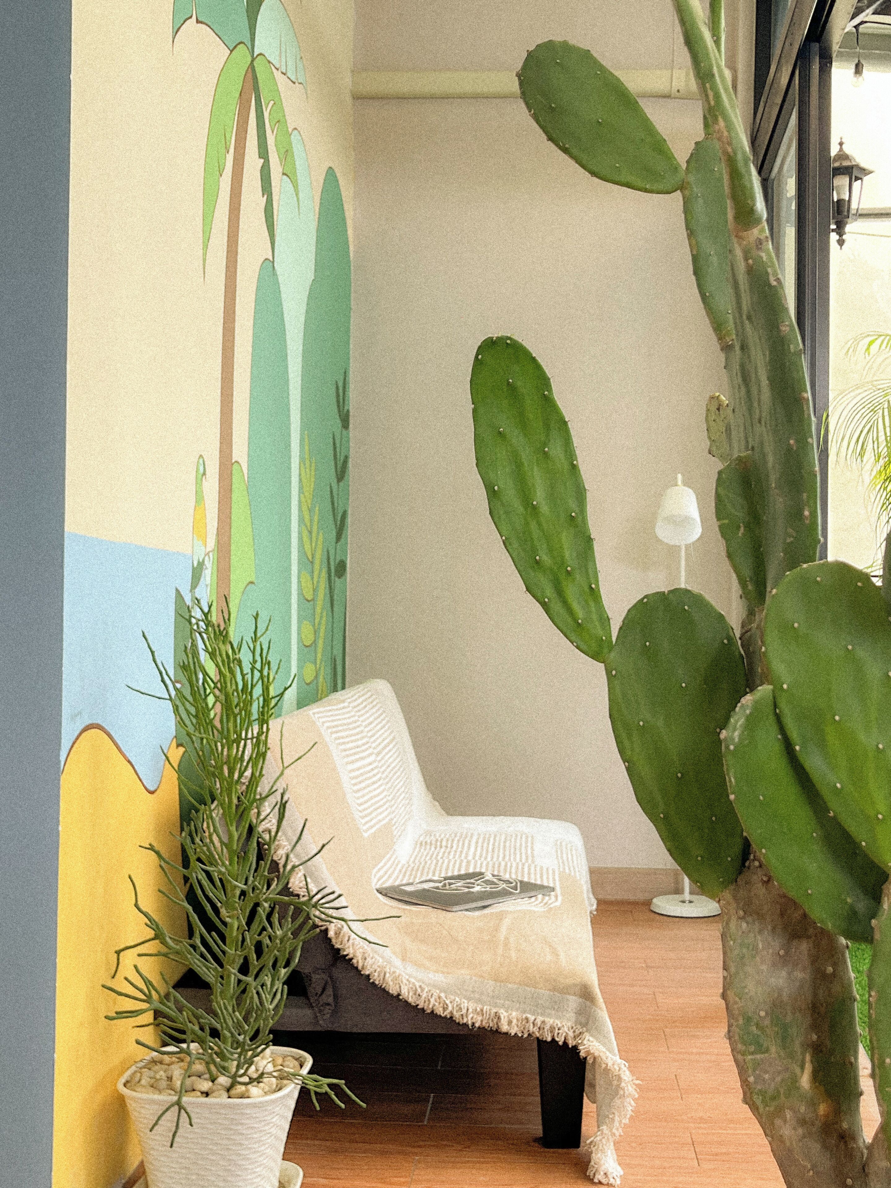 A room with a cactus plant, a white chair, and a wall mural.