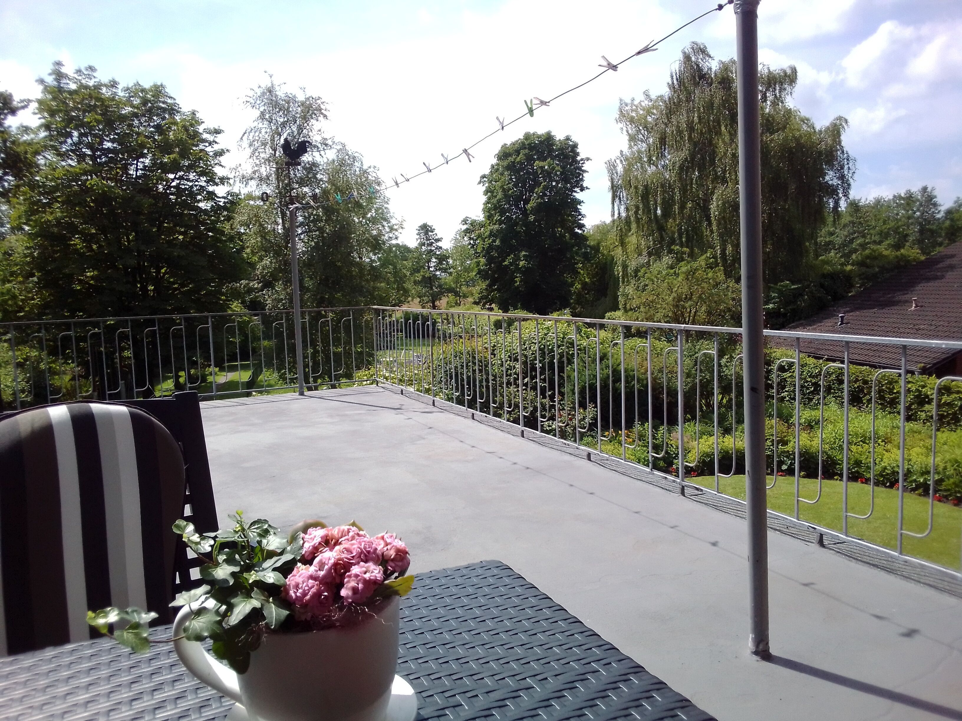 Terras