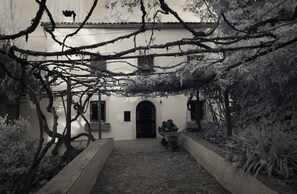 Un patio con la entrada de un edificio, una carretilla y ramas colgantes.