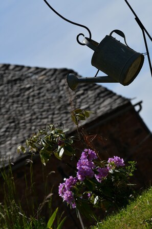 Um regador de metal pendurado sobre flores roxas, com um edifício ao fundo.