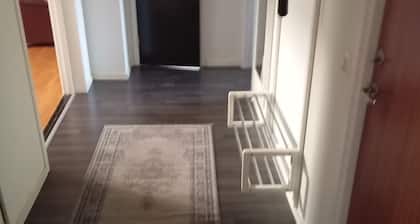 Charming 2-bedroom Apartment in Historic Skara, Sweden