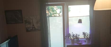 Appartement, 2 chambres, fumeur, balcon | Salle de séjour | Livres