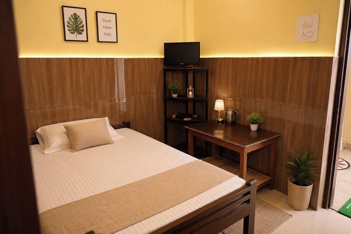A hotel room with a bed, a TV, a small table with a lamp, and a potted plant.