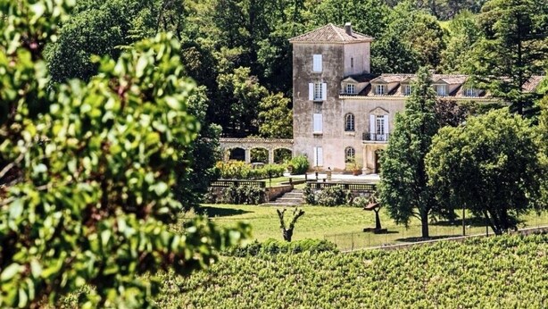 Un edificio grande con múltiples ventanas y una torre, rodeado de abundante vegetación y viñedos.