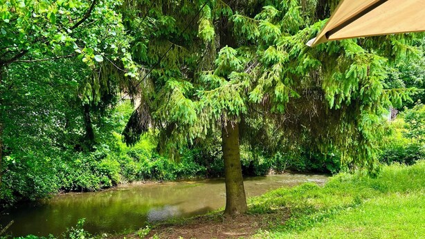 Een rivier met weelderige begroeiing en een boom op de voorgrond.