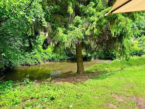 A river with dense greenery and a tree in the foreground. - Relaxation in the Eifel - nature, peace and comfort for families, couples and dog lovers (Seffern)