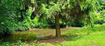 Relaxation in the Eifel - nature, peace and comfort for families, couples and dog lovers