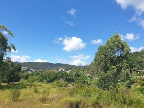 A rural landscape with scattered houses, dense vegetation, and a clear blue sky.