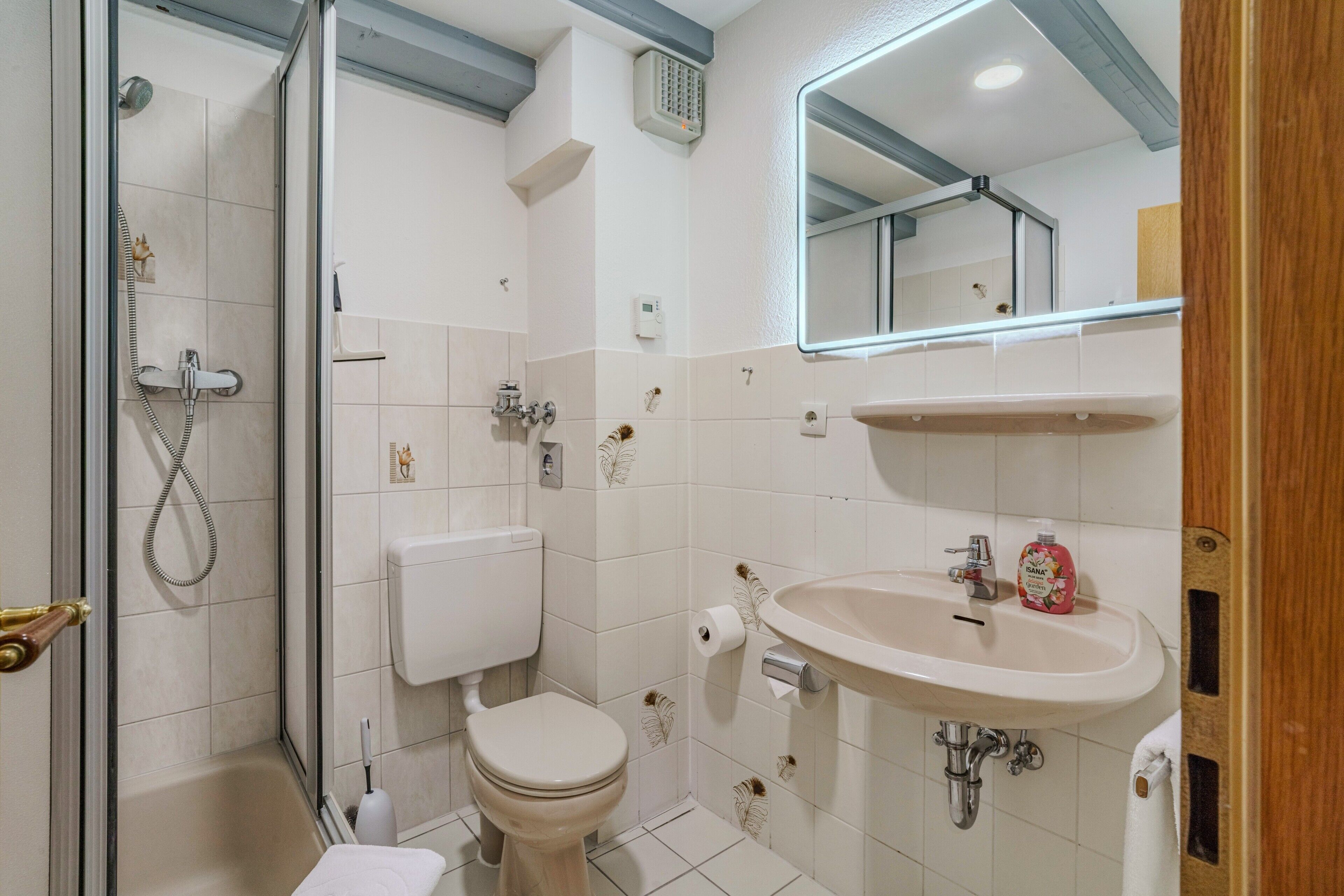 Shower, hair dryer, towels