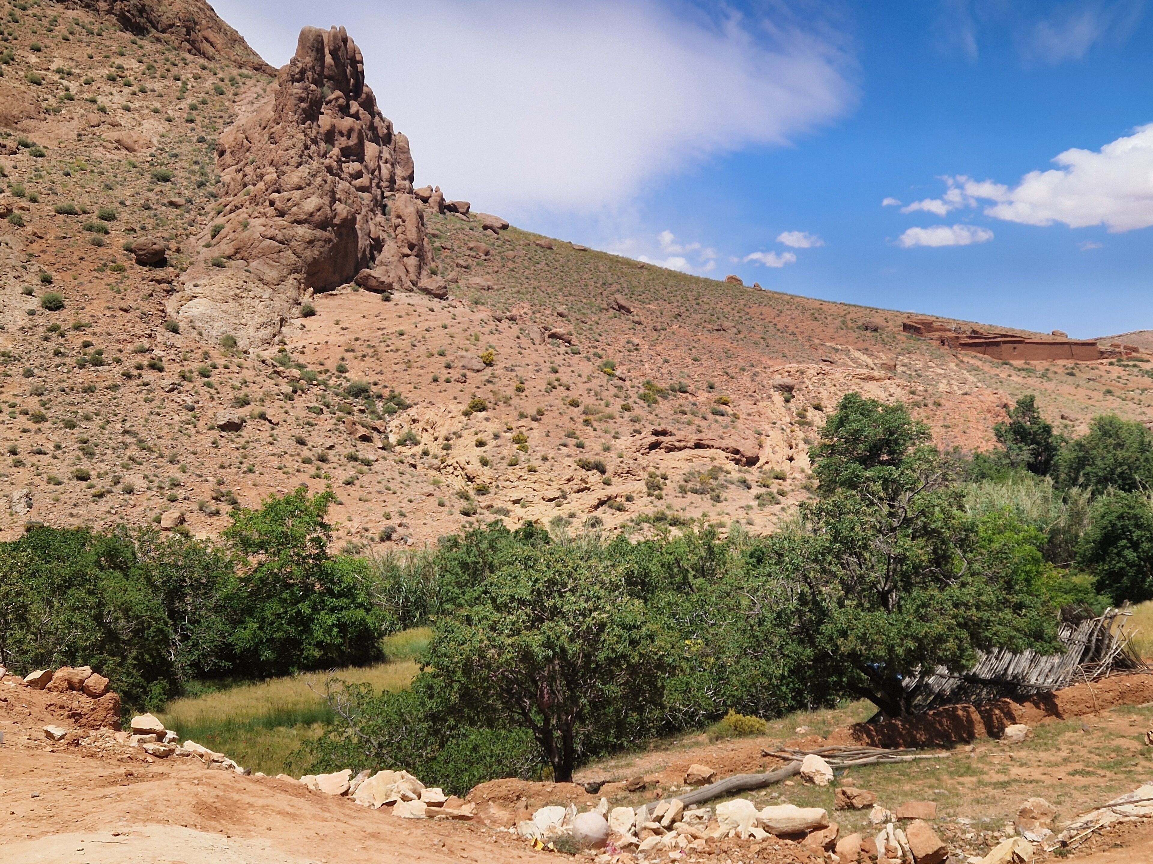 A rocky hillside with sparse vegetation and a clear sky.