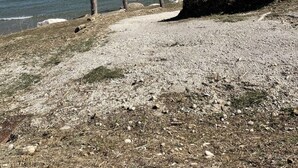 A coastal scene with a wooden pier extending into the sea, surrounded by rocks and pebbles. - Charming town house located in the beautiful historic village of Casalanguida. (Casalanguida)