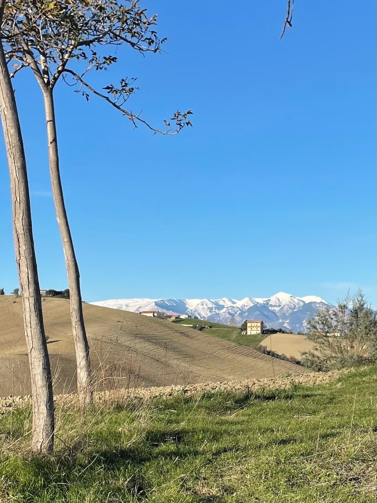 A rural landscape with a clear sky, a mountain range in the background, and a building with a sloped roof.