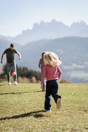A grassy field with mountains in the background. - Oachner Living | Design vacation apartments with sauna in South Tyrol (Trentino-Alto Adige)