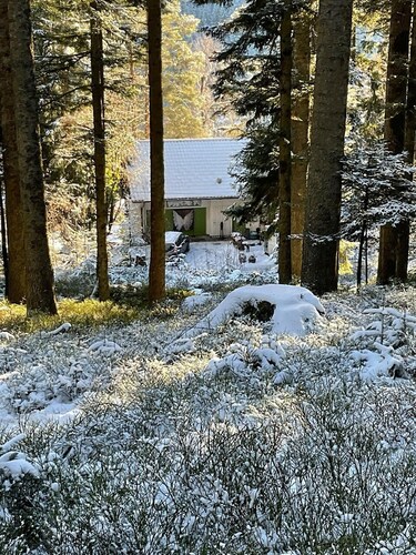  „GOLDREGEN“ Ein Seelenort für Stille, Waldbaden & Atelier für Künstlerseelen