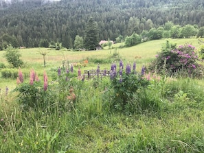 A rural landscape with a wooden fence, wildflowers, and a house in the background. - "GOLDREGEN" A place of the soul for silence, forest bathing & a studio for artists' souls (Forbach Hundsbach)