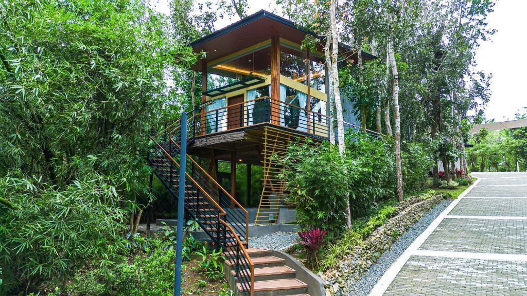 Une structure en bois à plusieurs niveaux, dotée d’un escalier et entourée d’une végétation luxuriante.