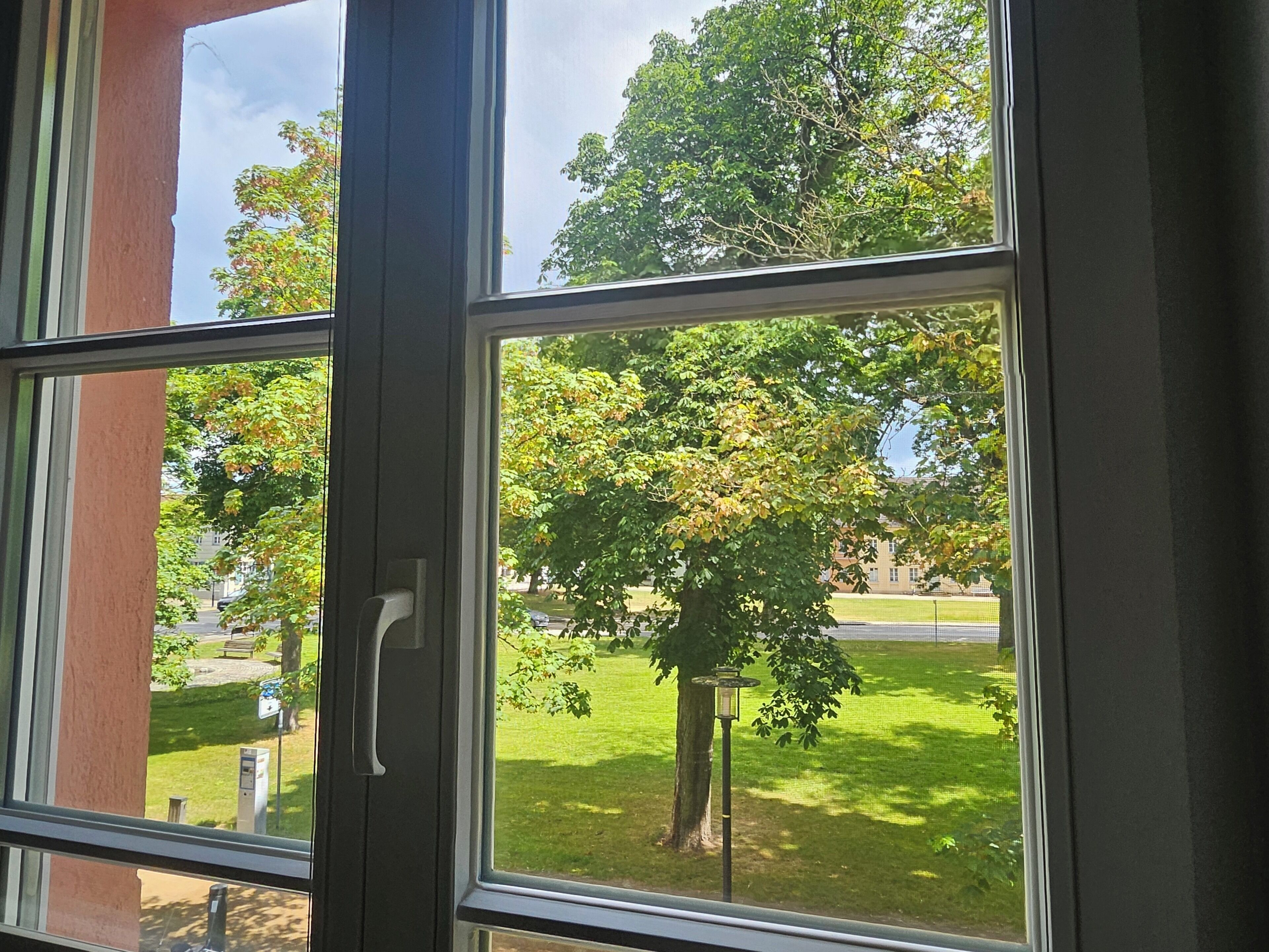 Ein Fenster mit Blick auf einen Baum und eine Rasenfläche.