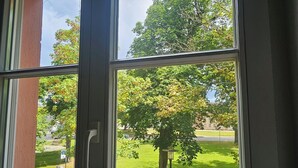 Una ventana con vistas a un árbol y un área verde.