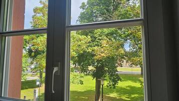 Ein Fenster mit Blick auf einen Baum und eine Rasenfläche.